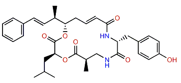 Cryptophycin 43